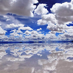 Meet your Posher, Ann